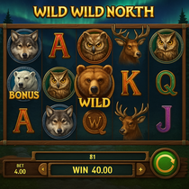 Betiro - Wild Wild North Slot Game